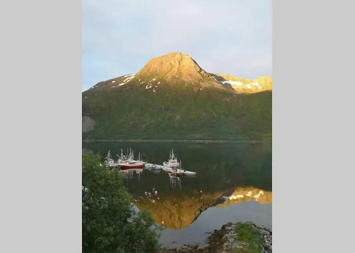 Waterfront Senja 3