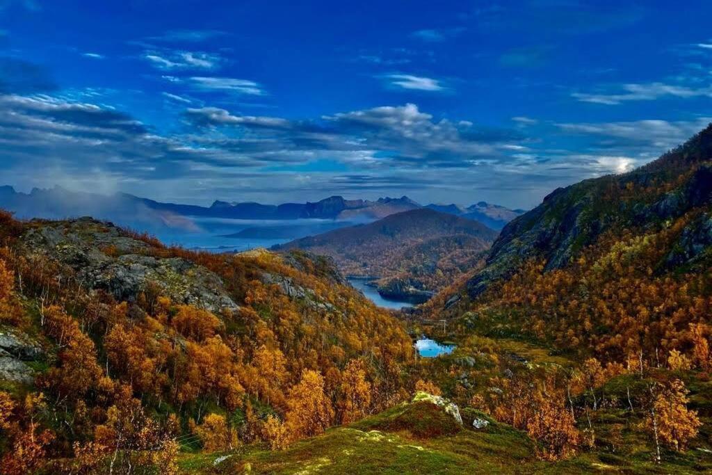 Waterfront Senja 3 *