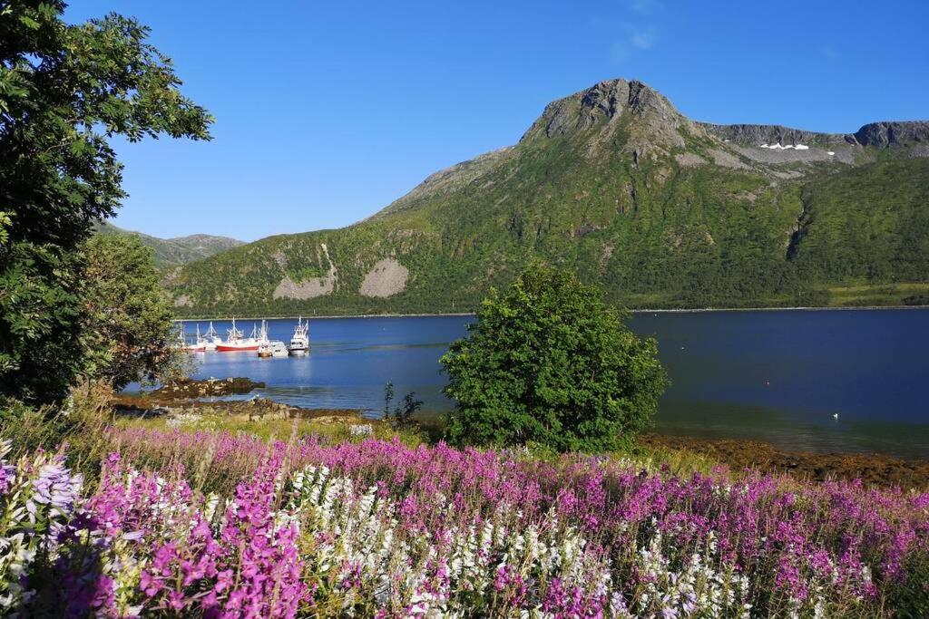 Waterfront Senja 3 * Torsken